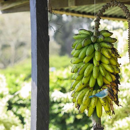 Concepcion  Coffee Garden Ranch Costa Rica 아파트 외부 사진