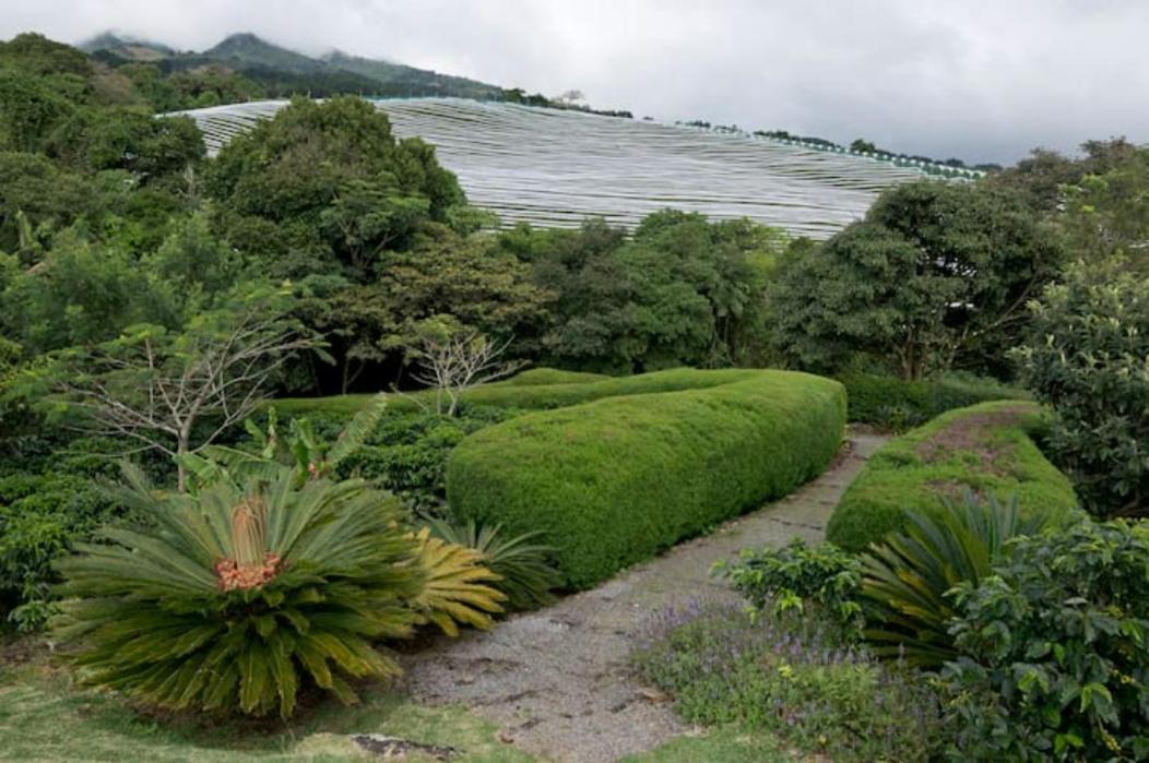 Concepcion  Coffee Garden Ranch Costa Rica 아파트 외부 사진