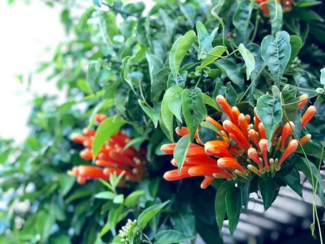 Concepcion  Coffee Garden Ranch Costa Rica 아파트 외부 사진