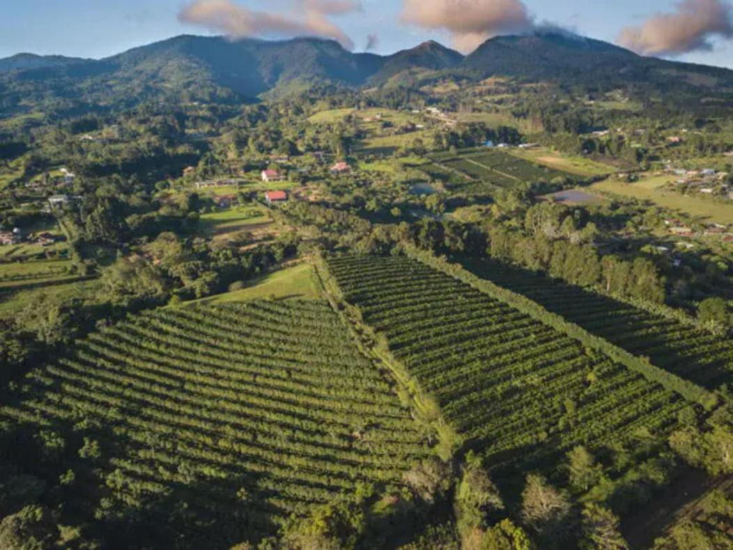 Concepcion  Coffee Garden Ranch Costa Rica 아파트 외부 사진
