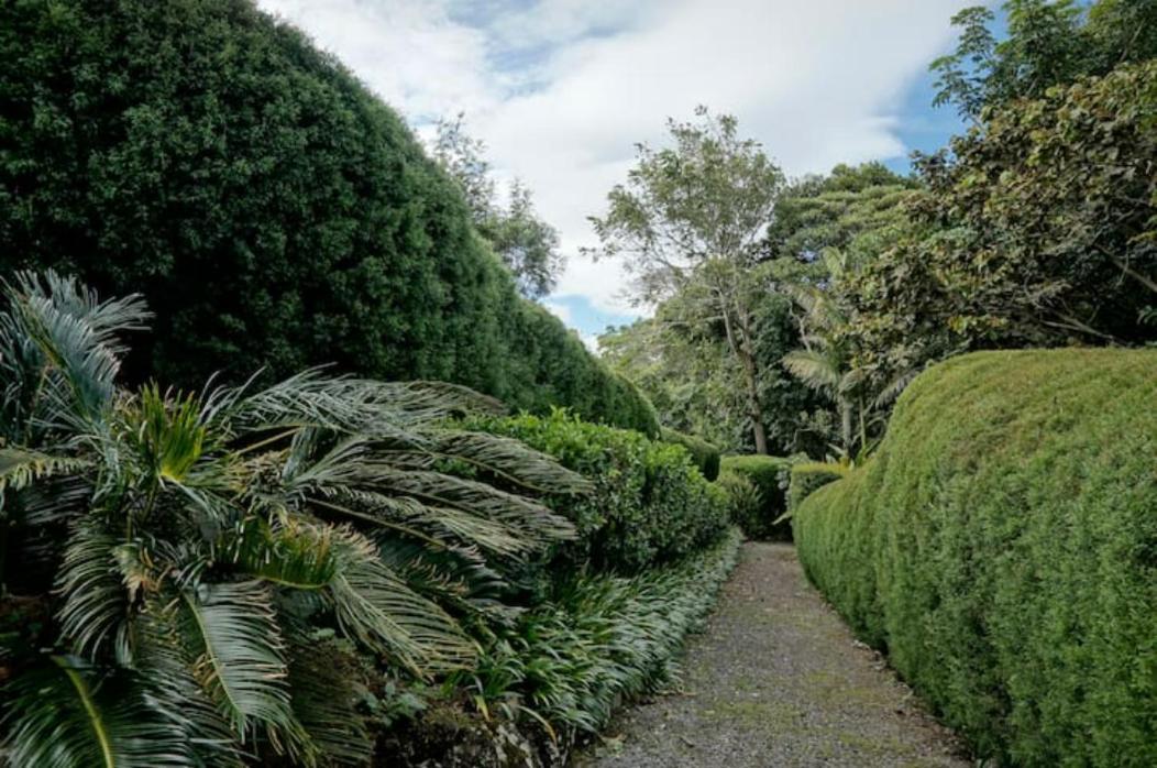 Concepcion  Coffee Garden Ranch Costa Rica 아파트 외부 사진