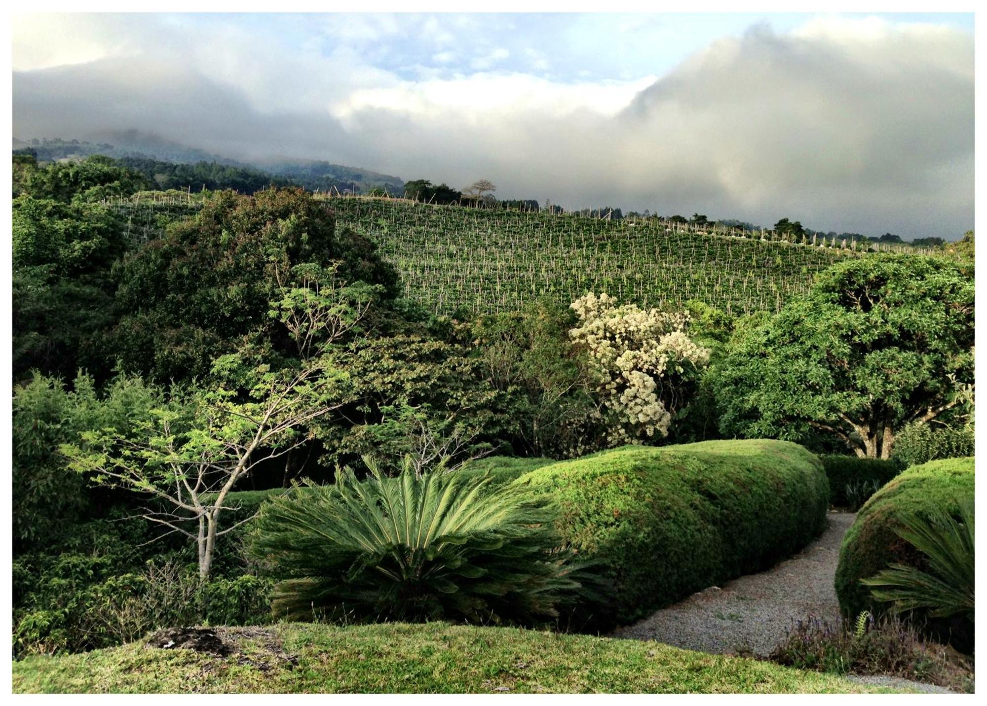 Concepcion  Coffee Garden Ranch Costa Rica 아파트 외부 사진